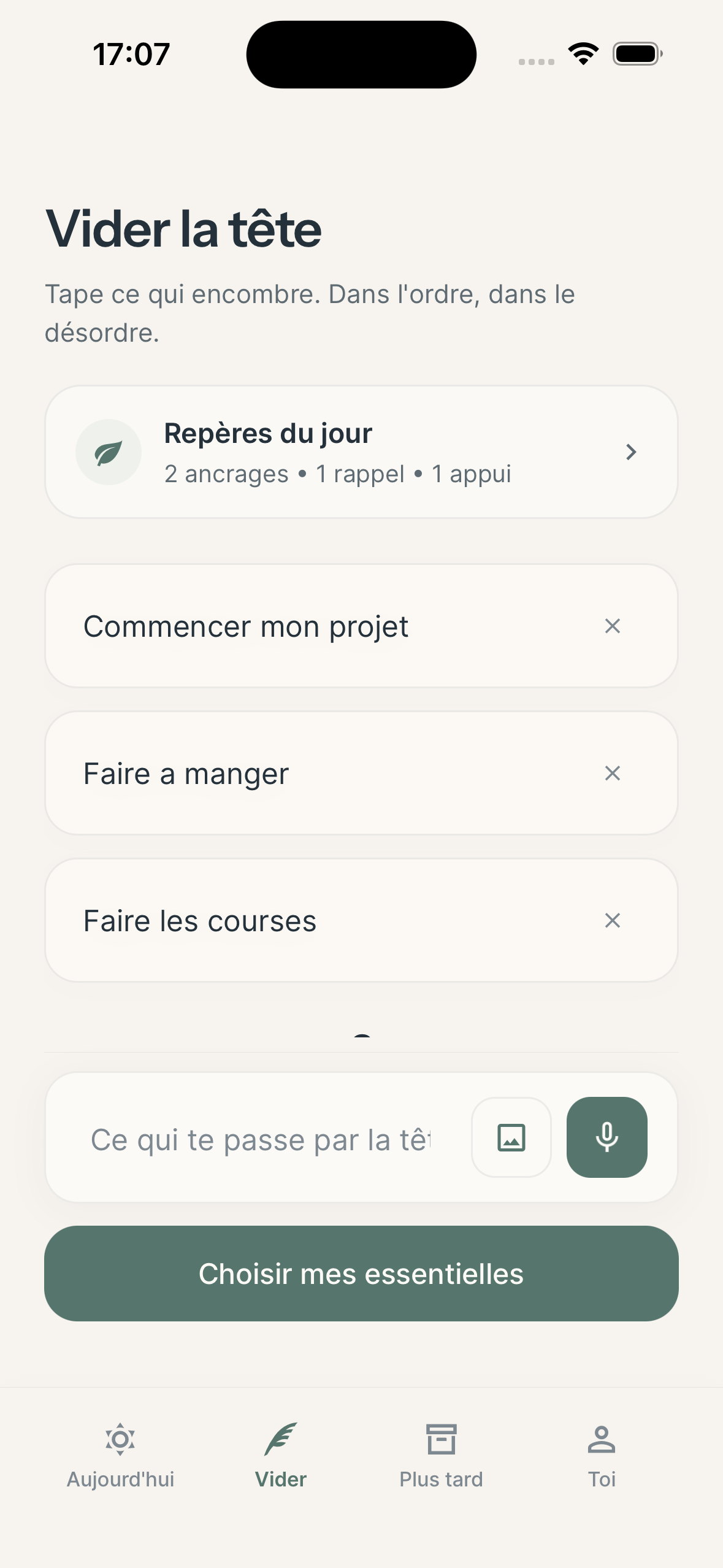 Molleva’s Clear my head screen, with a field for writing a note. The interface is in French.